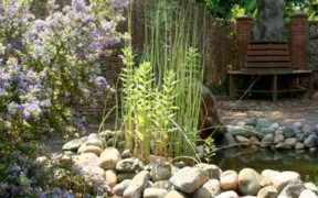 The garden pool at the Centre for Reflection