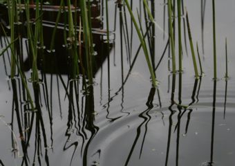 Centre for Reflection pool